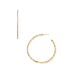 Best reviews of 🌟 AQUA Plunger Hoop Earrings - 100% Exclusive Gold 🎁